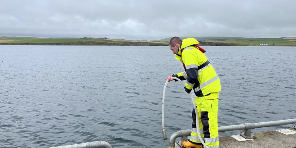 Picture A Hose sampling at Scapa Pier