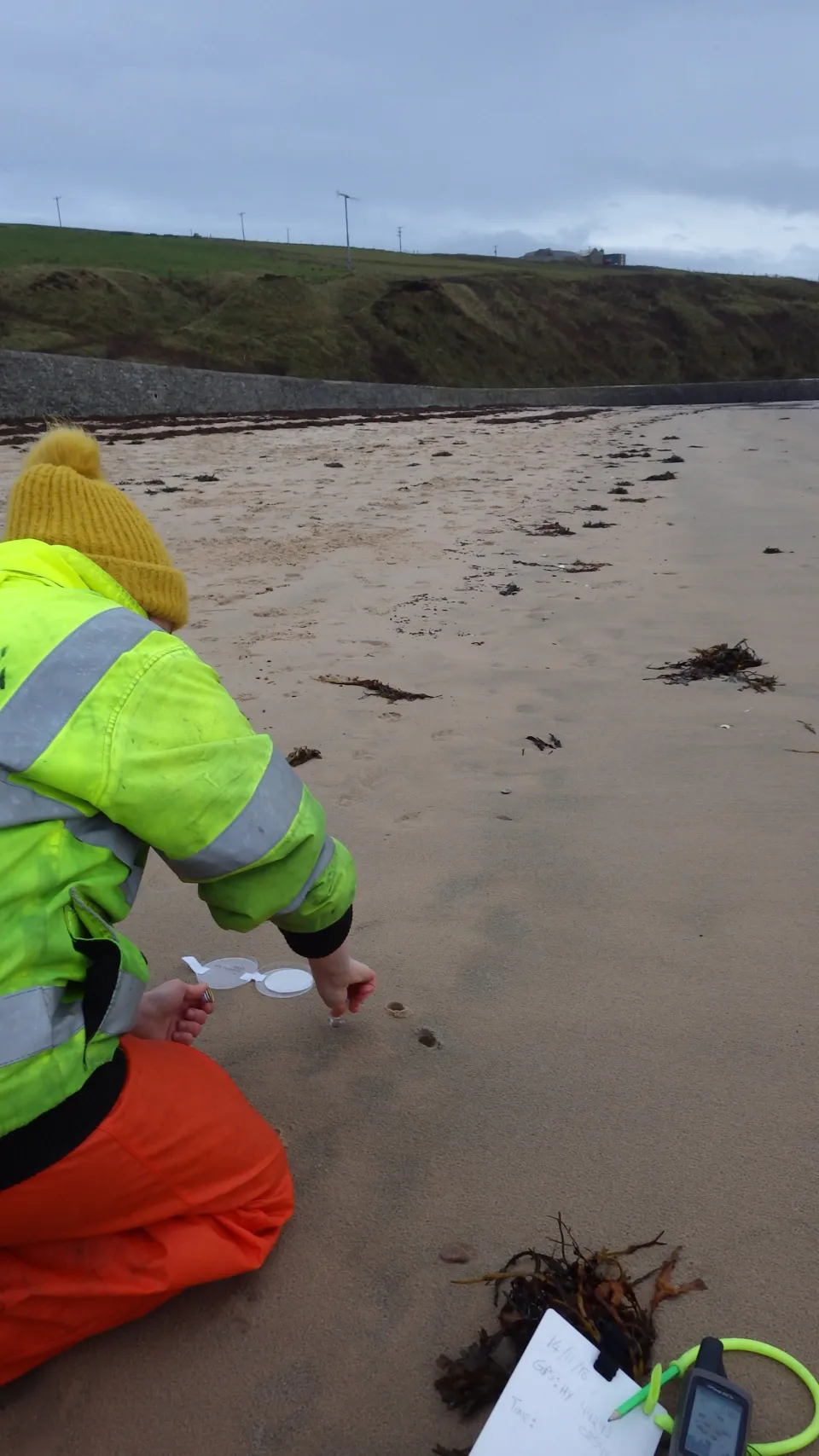 Picture 4 Microplastics