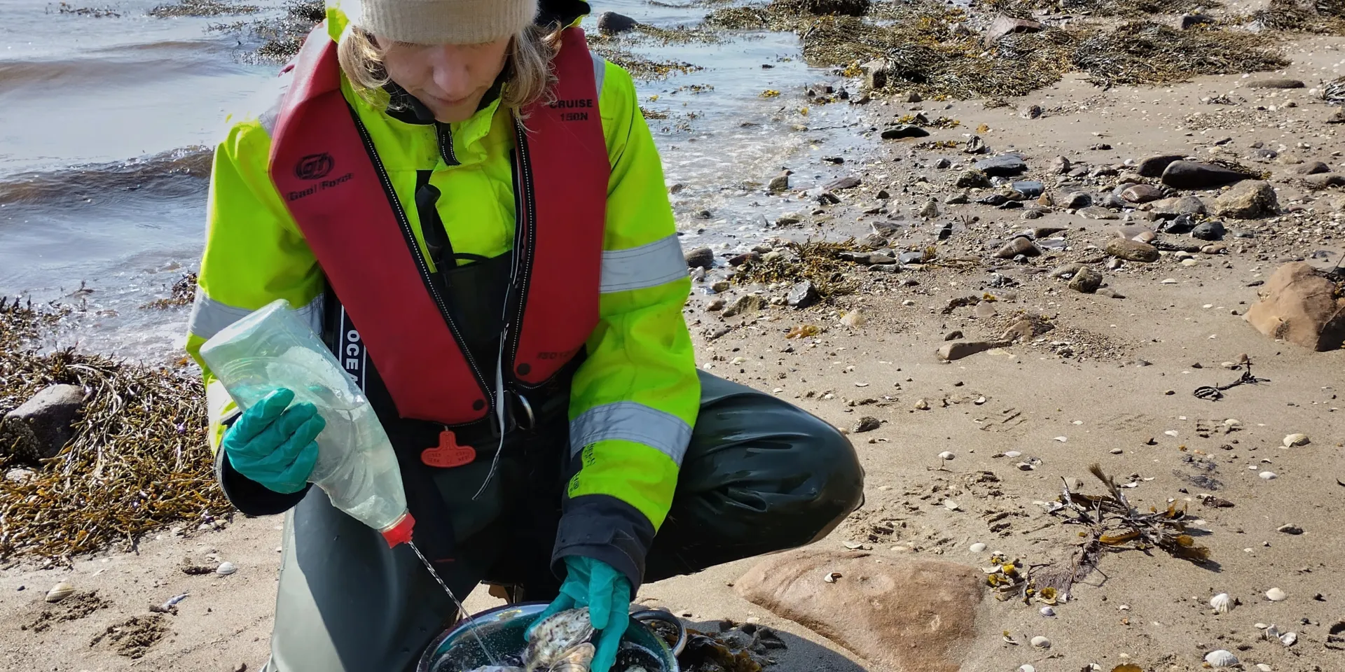 Shellfish sampling 2