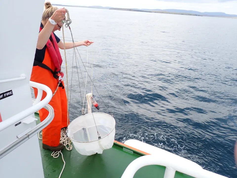 Plankton Tow Jenni and net NNS 2025 P7290005