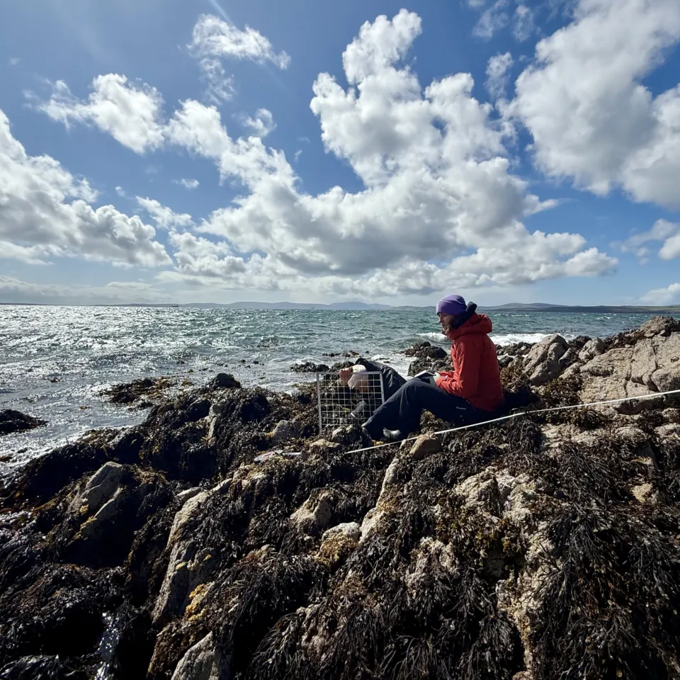 Molly and John Rocky Shore Transect Deepdale North 26 05 2025