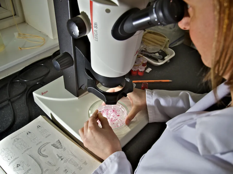 JK microscope
