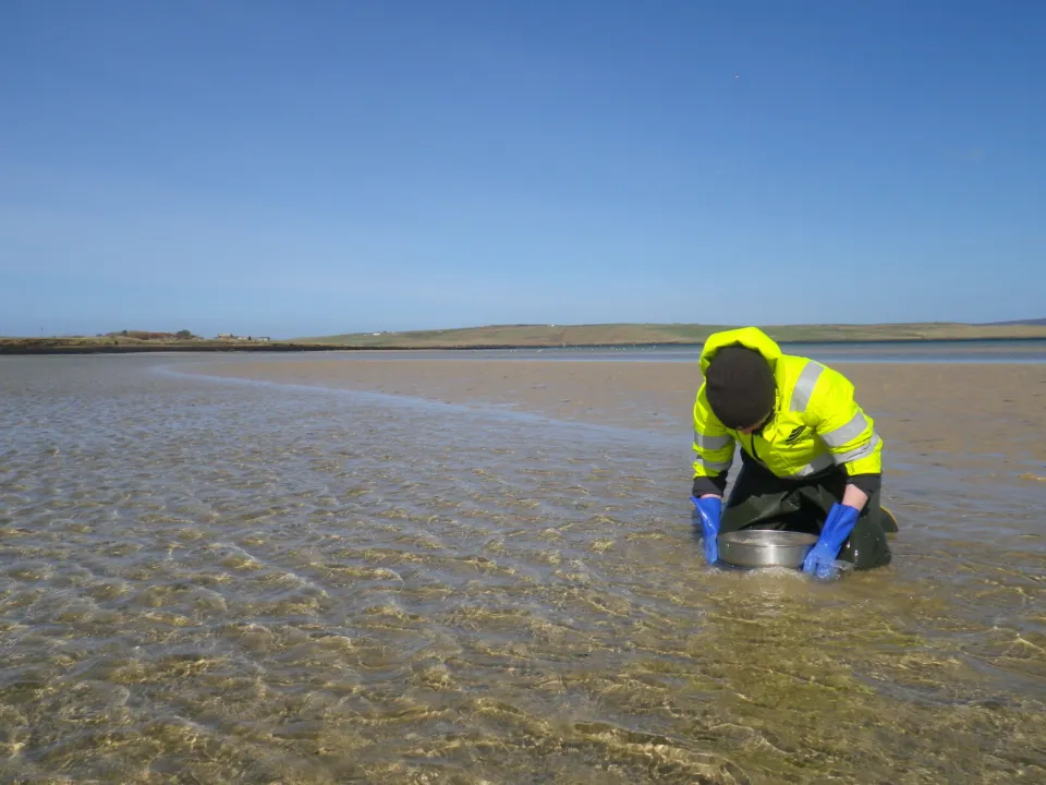 Sieving KB